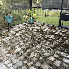 Expert-Paver-Cleaning-and-Sealing-in-Temple-Terrace-Tampa-H-Man-Pressure-Washing 1